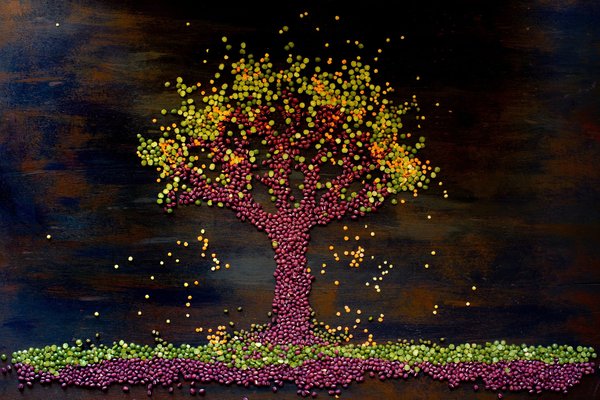 What Are the Best Plant-Based Sources of Iron for Vegans to Prevent Anemia?