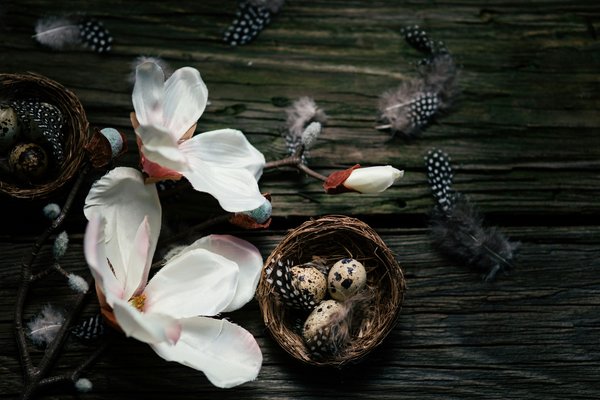 Transform your space with stunning prada wall art